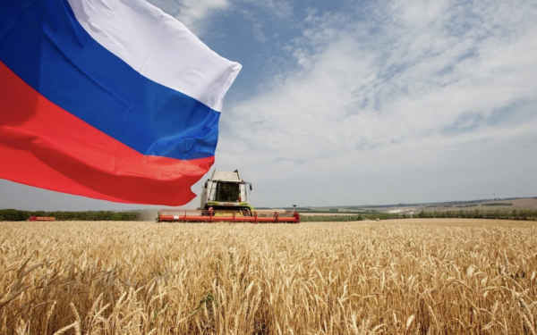 Read more about the article Западные санкции не мешают развитию агропромышленного комплекса России