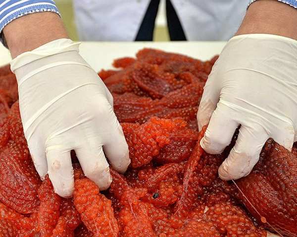 Read more about the article Ястычную икру, служащую сырьем для изготовления зернистой икры, могут исключить из системы маркировки