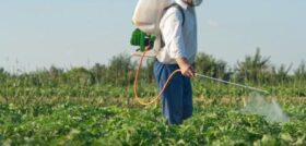 Сибирские ученые разработали быстрый и недорогой способ оценки совместимости смесей различных пестицидов