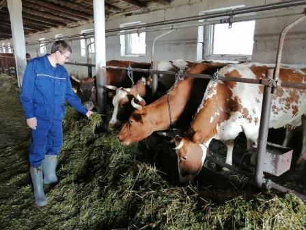 Read more about the article Уральские ученые выявили полиморфизмы генов с устойчивостью к заболеваниям у пяти пород КРС